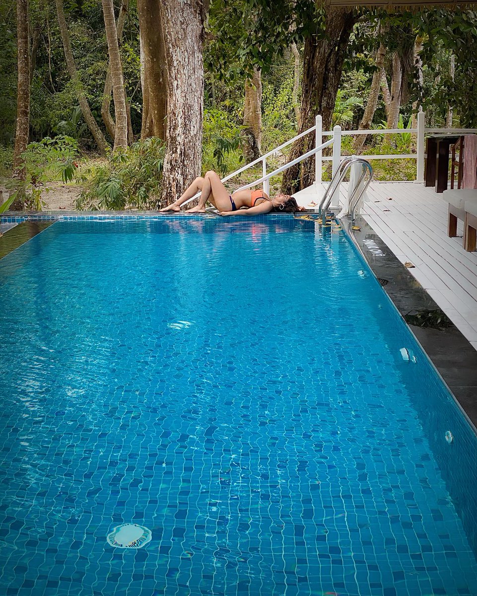 DesiBikini's tweet photo. #MallikaSherawat 🧡🖤 https://t.co/jkml6VhXQC
