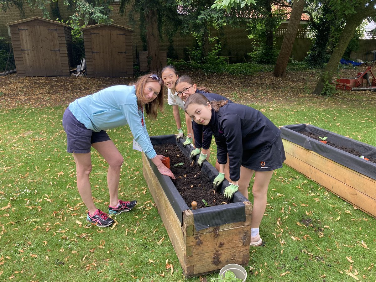 The Perse Prep tweet media