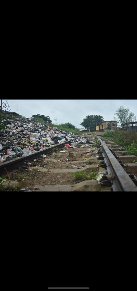 EcoSmartClub's tweet photo. Kicking off July with great news!

Our EndWaste project in Odo-Ona has successfully turned landfills into backyard farms. These areas now grow food and purify our air!

#endwasteinodona #endwasteculture #Communityledcleanups #ydos2022 #ecosmartclub #ecosmartteam https://t.co/hMwLgndAIB