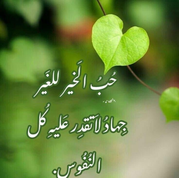 aiman (@aiman10021118) on Twitter photo 