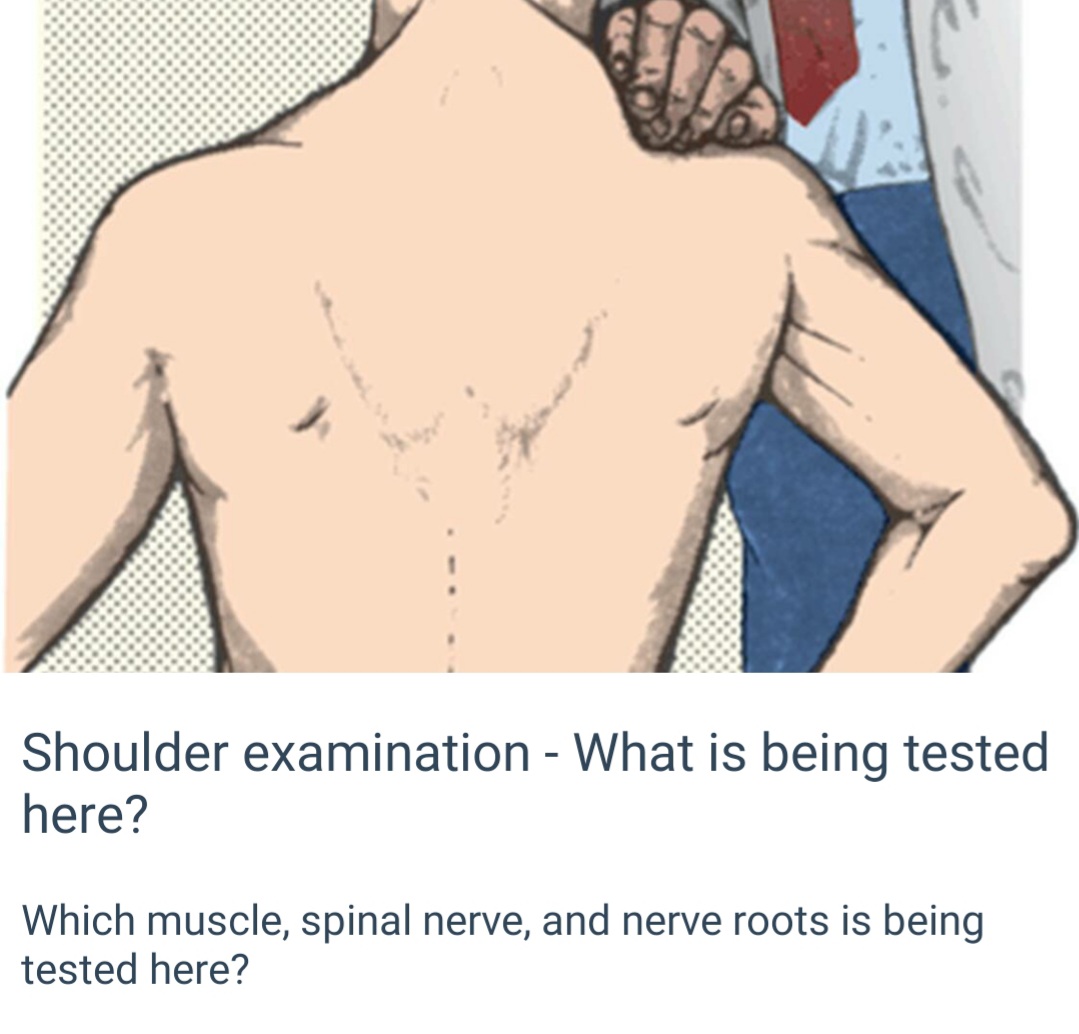 #musclehero #musclephotography #MedTwitter #medicine #medEd