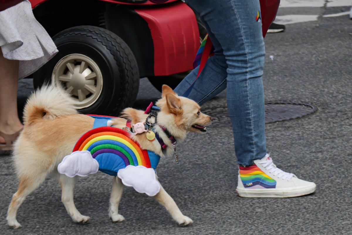 ArrushChopra's tweet image. Pride Parade 2024 - Toronto, Canada 🏳️‍🌈

#Pride2024 #TorontoPride