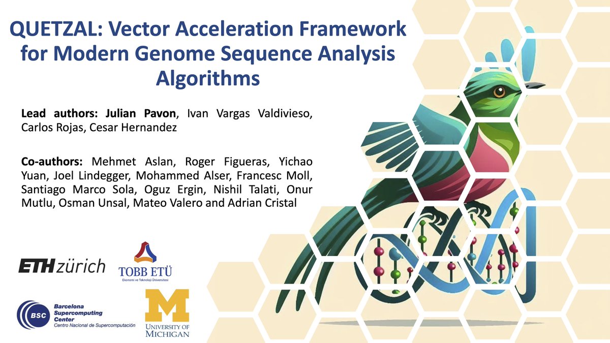 SAFARI_ETH_CMU's tweet image. Join us in Session 5B at 6:15 PM today @ISCAConfOrg for a talk given by @julaxPavon on &quot;QUETZAL: Vector Acceleration Framework For Modern Genome Sequence Analysis Algorithms&quot;.  
w/ @lindegger_joel @mealser @_onurmutlu_ @oguzergin  
@BSC_CNS #ISCACONF2024 #hardware #accelerators