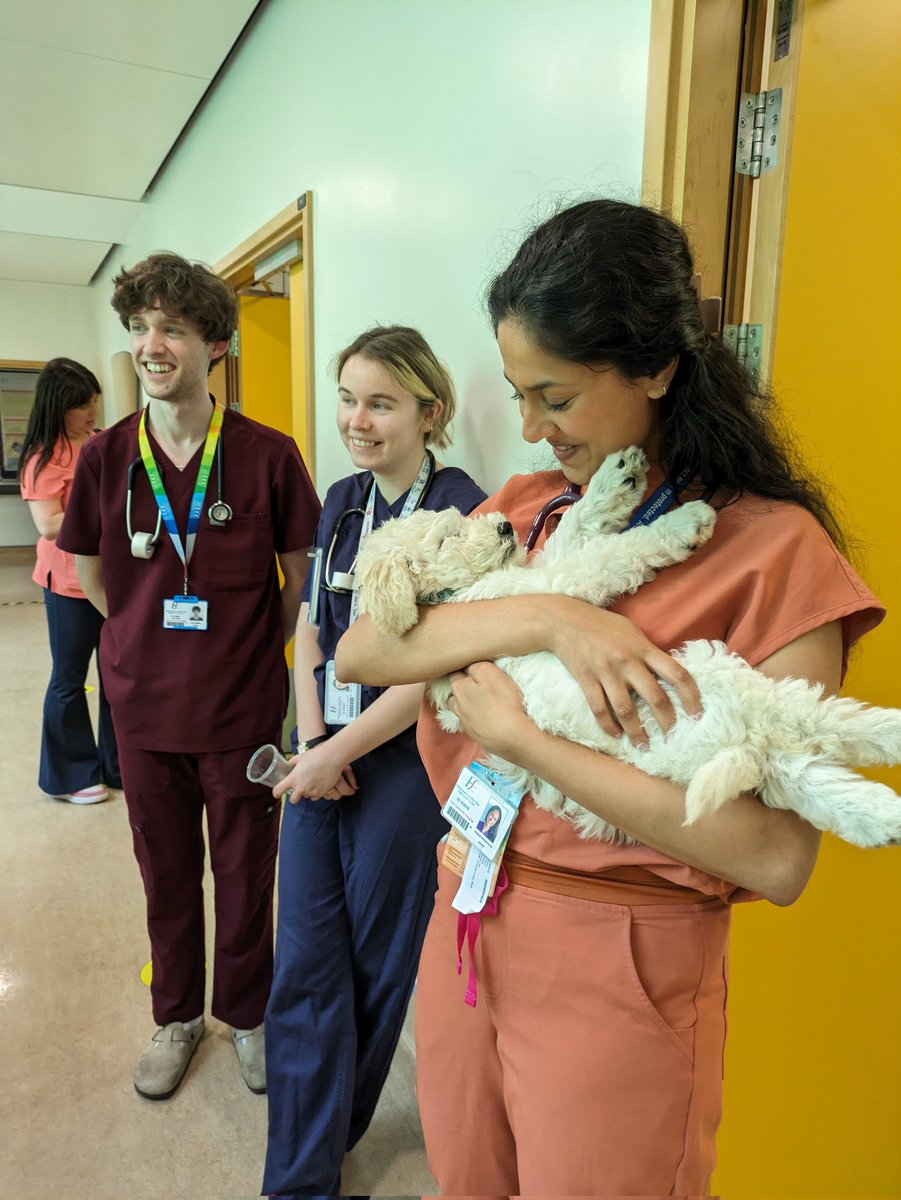 My Canine Companion (@mycaninecompani) on Twitter photo MCC puppies in training, Yogi and Zara, had a very important visit today, to the children's ward in Cork University Hospital
Not only did they put smiles on so many kid's faces, they also loved meeting the amazing staff
We cannot wait to see you all again very soon
<a href="/CUHCharity/">CUH Charity</a> MCC puppies in training, Yogi and Zara, had a very important visit today, to the children's ward in Cork University Hospital
Not only did they put smiles on so many kid's faces, they also loved meeting the amazing staff
We cannot wait to see you all again very soon
<a href="/CUHCharity/">CUH Charity</a>