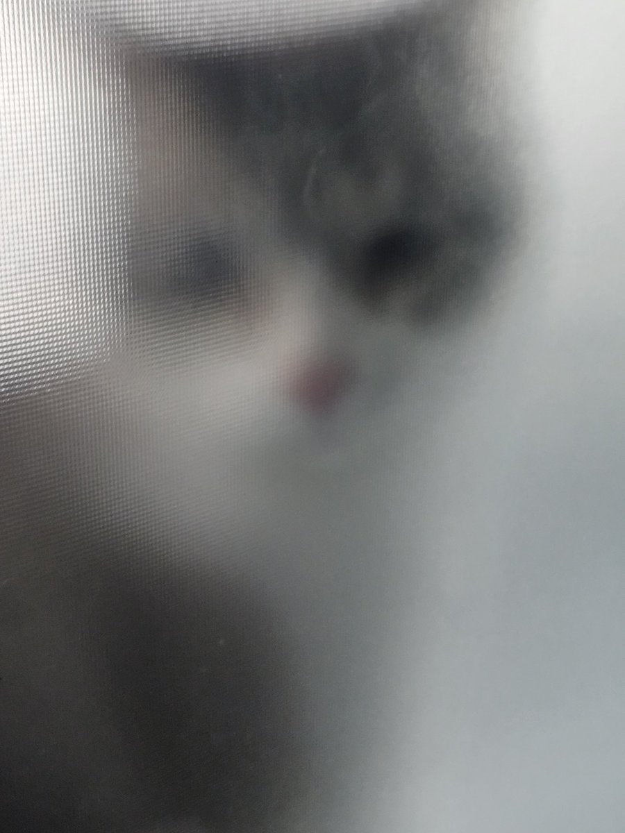 이것 뭐예요~?