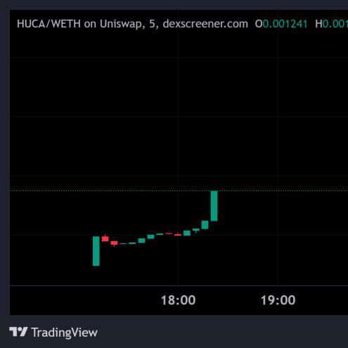Kong Trading 🦍 tweet media