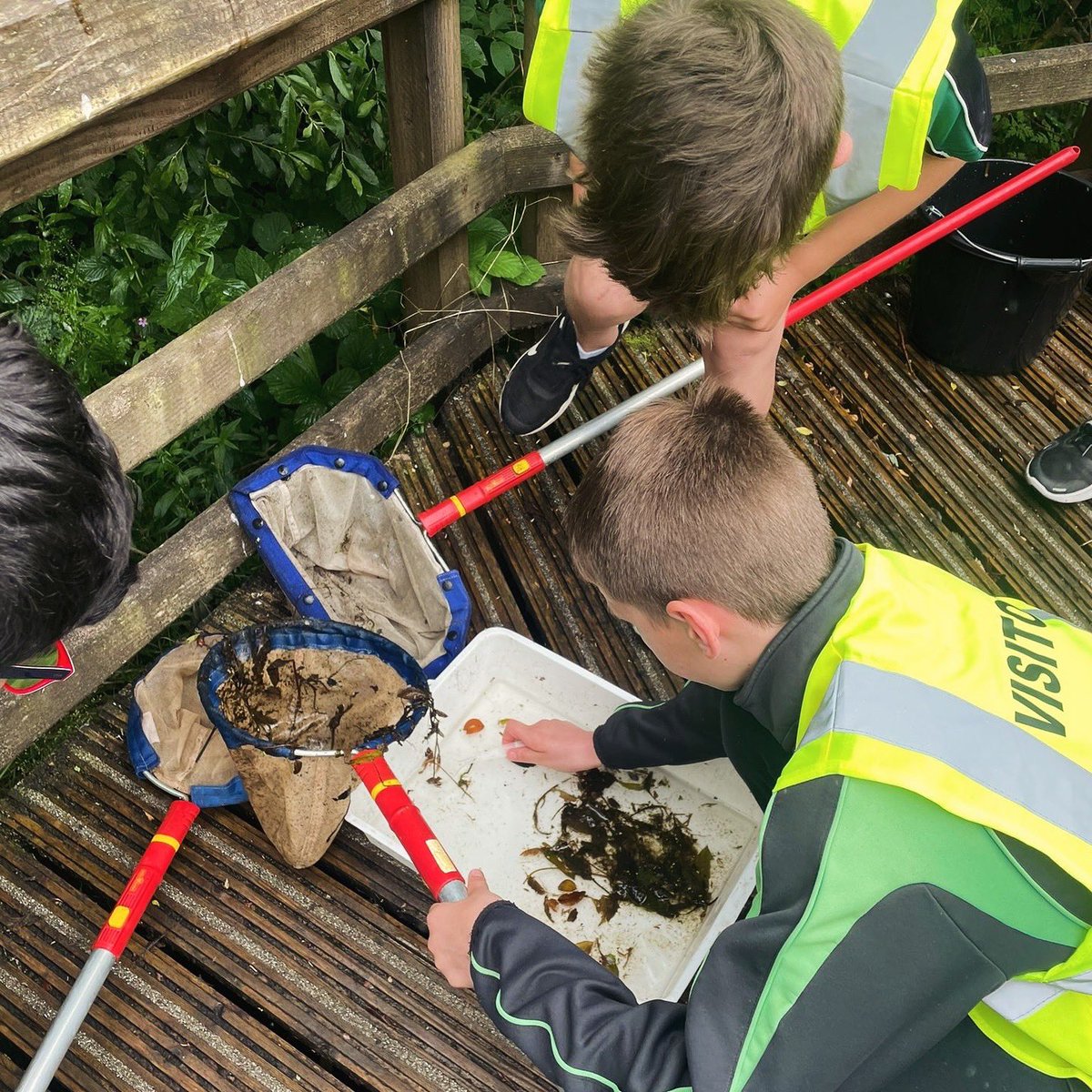 Myddelton College Preparatory School (@myddelton_prep) on Twitter photo 💦 POND DIPPING 💦
On Friday, Upper Prep visited Llyn Brenig and enjoyed a pond dipping activity with Catrin from <a href="/DwrCymru/">Welsh Water</a>
<a href="/MyddeltonColl/">Myddelton College</a> 💦 POND DIPPING 💦
On Friday, Upper Prep visited Llyn Brenig and enjoyed a pond dipping activity with Catrin from <a href="/DwrCymru/">Welsh Water</a>
<a href="/MyddeltonColl/">Myddelton College</a>