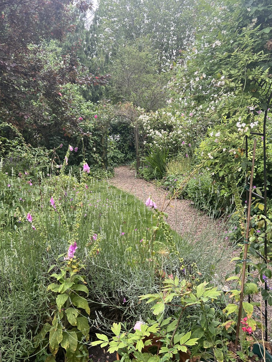 andycorneys's tweet image. Where are the insects   My garden is usually buzzing with bees, beautiful with butterflies &amp;amp; full of insects 🐞 but they’re missing. Is everyone else finding this?