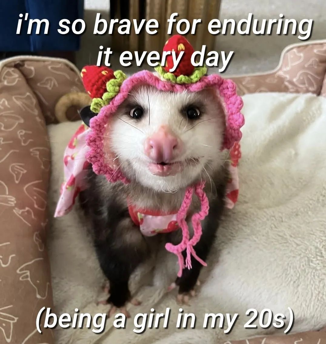 HerCampus's tweet image. it's not easy being me 📸@beelovespossums on IG