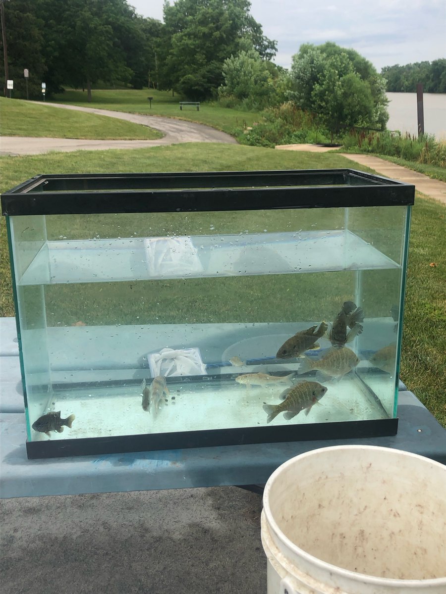 Lake Erie Center tweet media