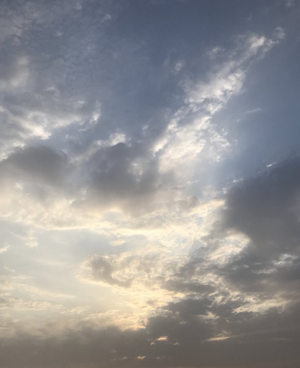 M64_cps's tweet photo. vitamin D ⬆️⬆️⬆️ https://t.co/7ueDuslhwC