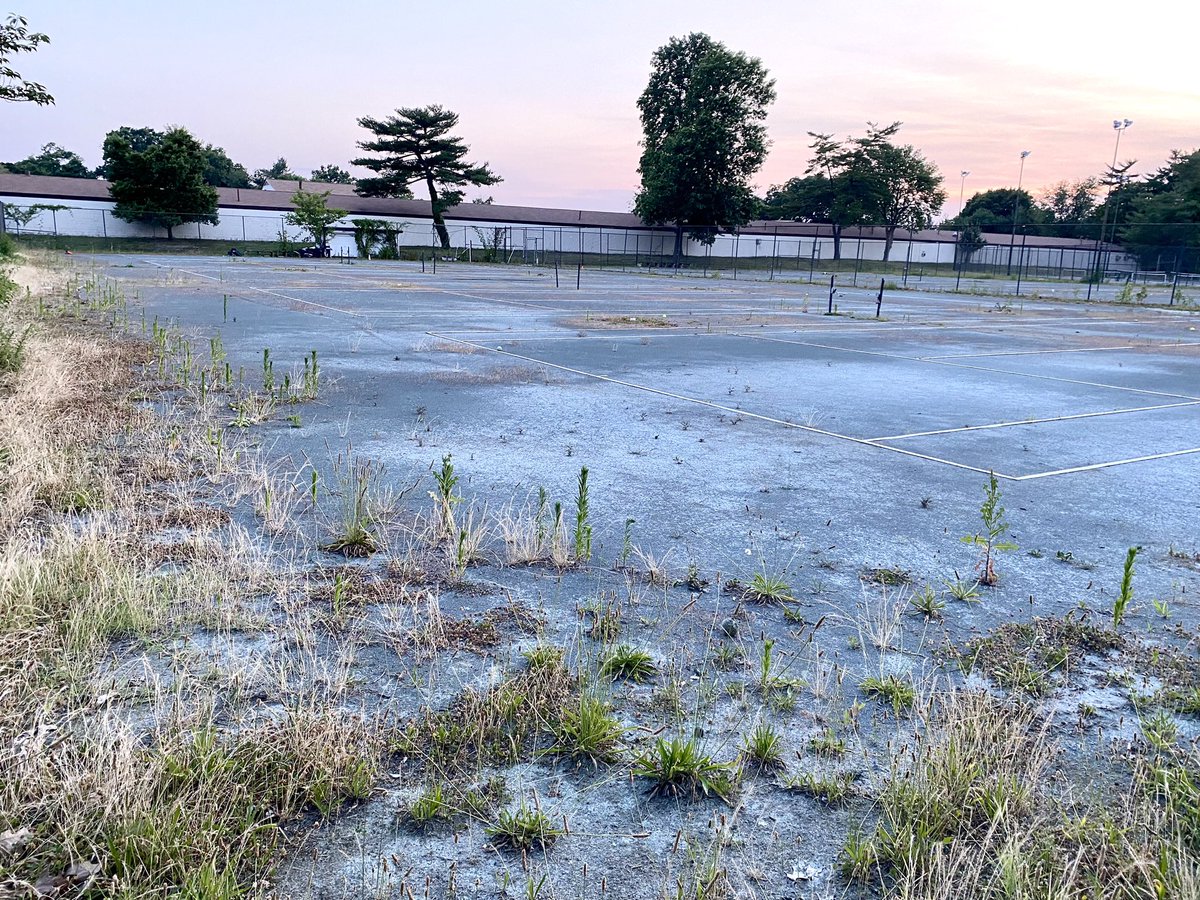 Christopher Graves (@cgraves) on Twitter photo #whereyoubelong is the campaign for National Recreation and Park Association @nrpa and the US Tennis Association <a href="/usta/">USTA</a> to get people out onto public courts. Well here are my neighborhood courts which are managed by the <a href="/NationalParksX/">National Parks | USA</a> <a href="/RockCreekNPS/">Rock Creek Park</a> <a href="/NPSADfIVE/">Julia Washburn</a> Shame. #whereyoubelong is the campaign for National Recreation and Park Association @nrpa and the US Tennis Association <a href="/usta/">USTA</a> to get people out onto public courts. Well here are my neighborhood courts which are managed by the <a href="/NationalParksX/">National Parks | USA</a> <a href="/RockCreekNPS/">Rock Creek Park</a> <a href="/NPSADfIVE/">Julia Washburn</a> Shame.