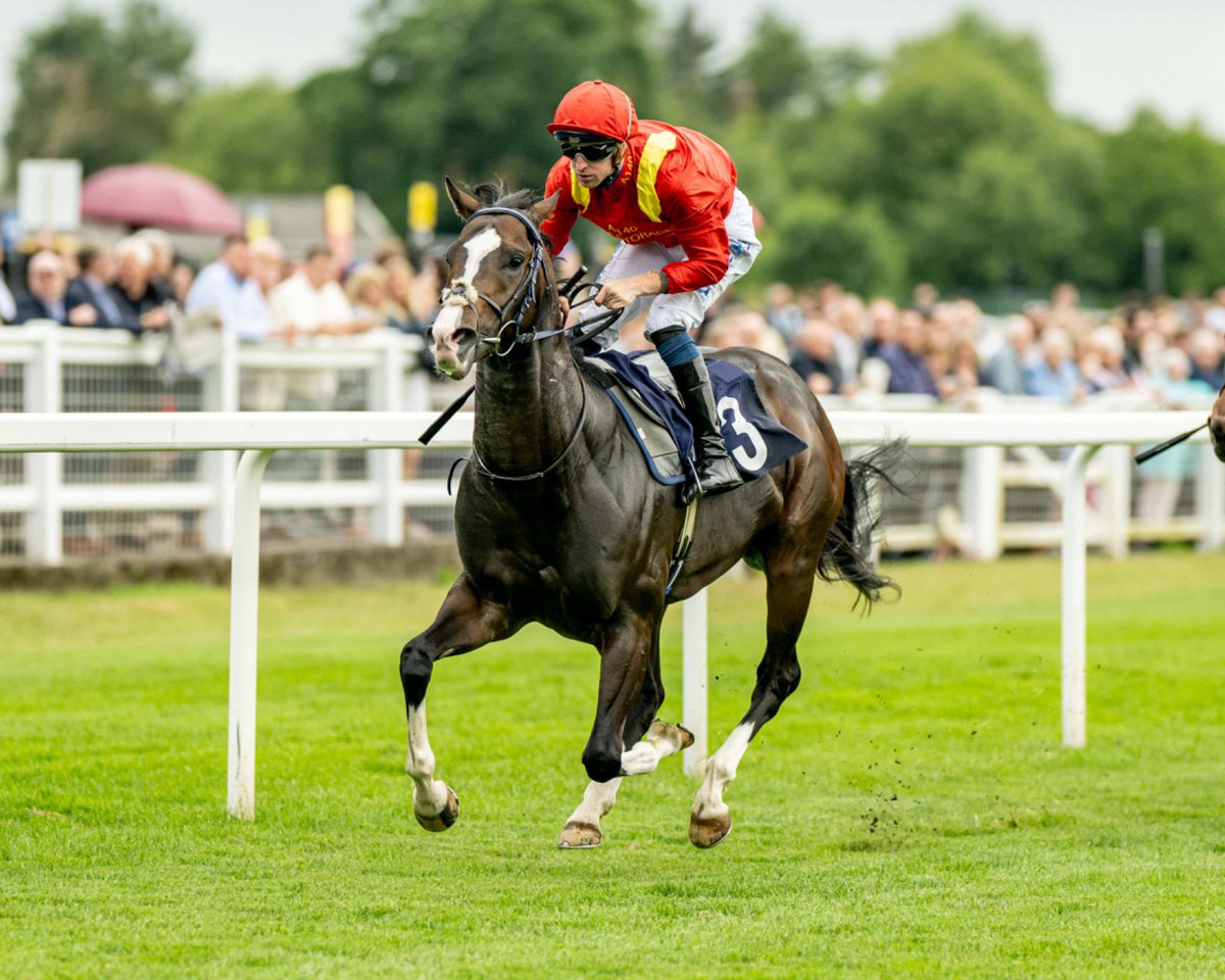 Windsor Racecourse (@windsorraces) on Twitter photo Race 1 Result: The Colenko Fast Track Handicap Stakes
🏆 Law Of Average
Jockey: <a href="/Haynes_joey/">joey haynes</a>
Trainer: <a href="/Chelseabanham7/">Chelsea banham</a>
Owner: A 140 Self Storage Club Race 1 Result: The Colenko Fast Track Handicap Stakes
🏆 Law Of Average
Jockey: <a href="/Haynes_joey/">joey haynes</a>
Trainer: <a href="/Chelseabanham7/">Chelsea banham</a>
Owner: A 140 Self Storage Club