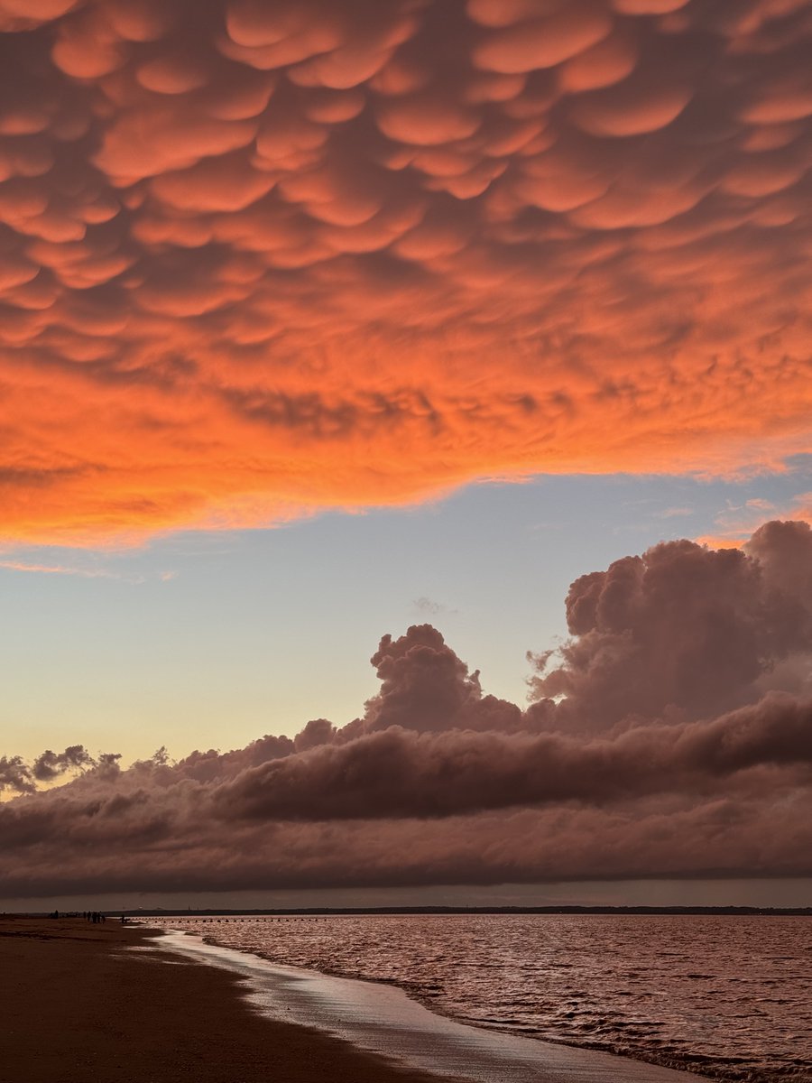 therajmahal__'s tweet image. quick 4 piece