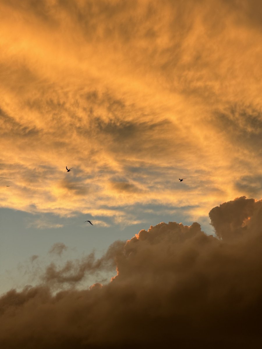 therajmahal__'s tweet image. quick 4 piece