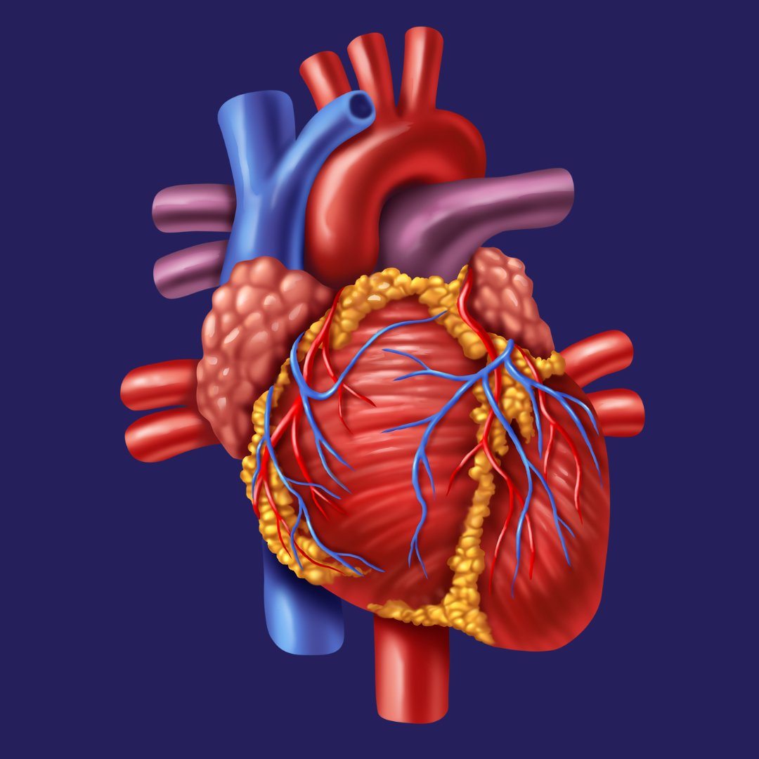 LifeShareNC's tweet photo. Heart as "The Manuscript"  

It doesn't make much sense to be willing to donate your heart, but not be willing to register as an organ, eye, and tissue donor. Even Taylor finds it eye-roll worthy! You can sign-up today at https://t.co/9AFDZljRSd. https://t.co/eMPoYIPGet