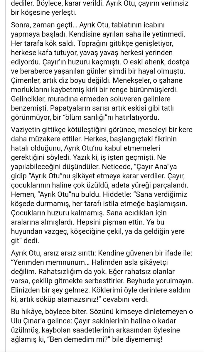 Ulu çınarın gölgesinde büyümesine izin verdiğimiz ayrık otlarına ithafen.