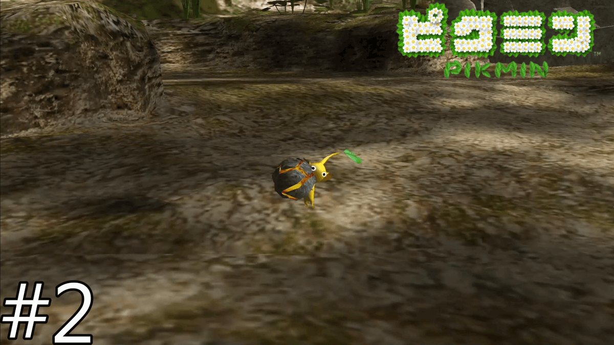 yozora89's tweet image. 動画投稿！
投げる時はヒヤヒヤするけど

バクダン岩つえぇぇぇぇぇ！【ピクミン１】＃２youtu.be/jhUPE_Vtz8c