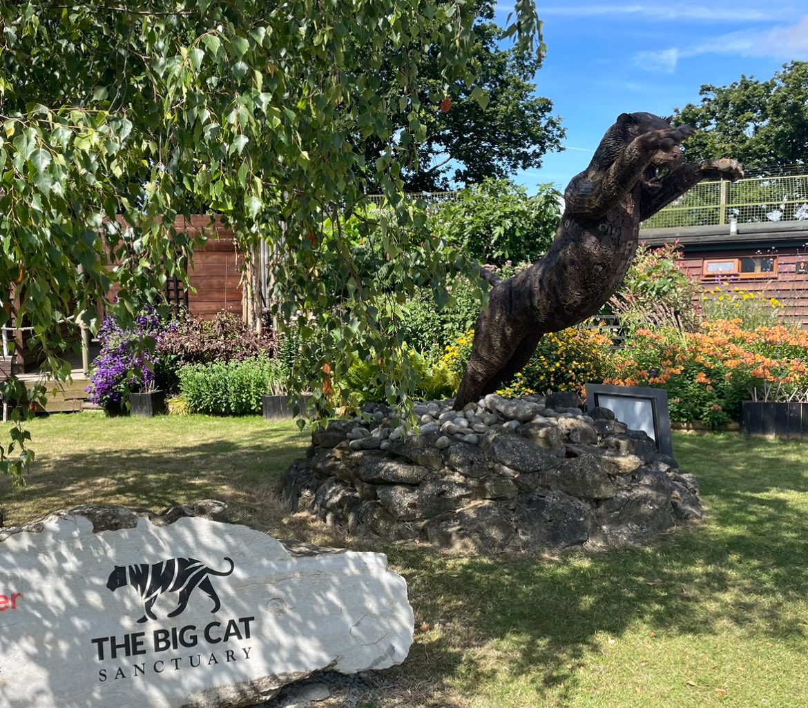 Challock Primary tweet media