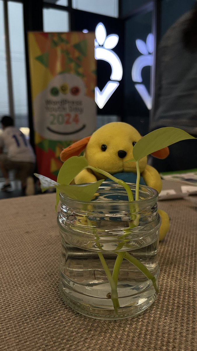 Este viernes en Nuve, disfrutamos de un Contributor Day lleno de aprendizaje.🇳🇮 Agradecemos a todos los que desafiaron el clima para unirse a nosotros. 🫶🏽Seguimos creciendo juntos! 🚀🤝 

#WordPressNicaragua #WordPress #ContributorDay #CommunityLove