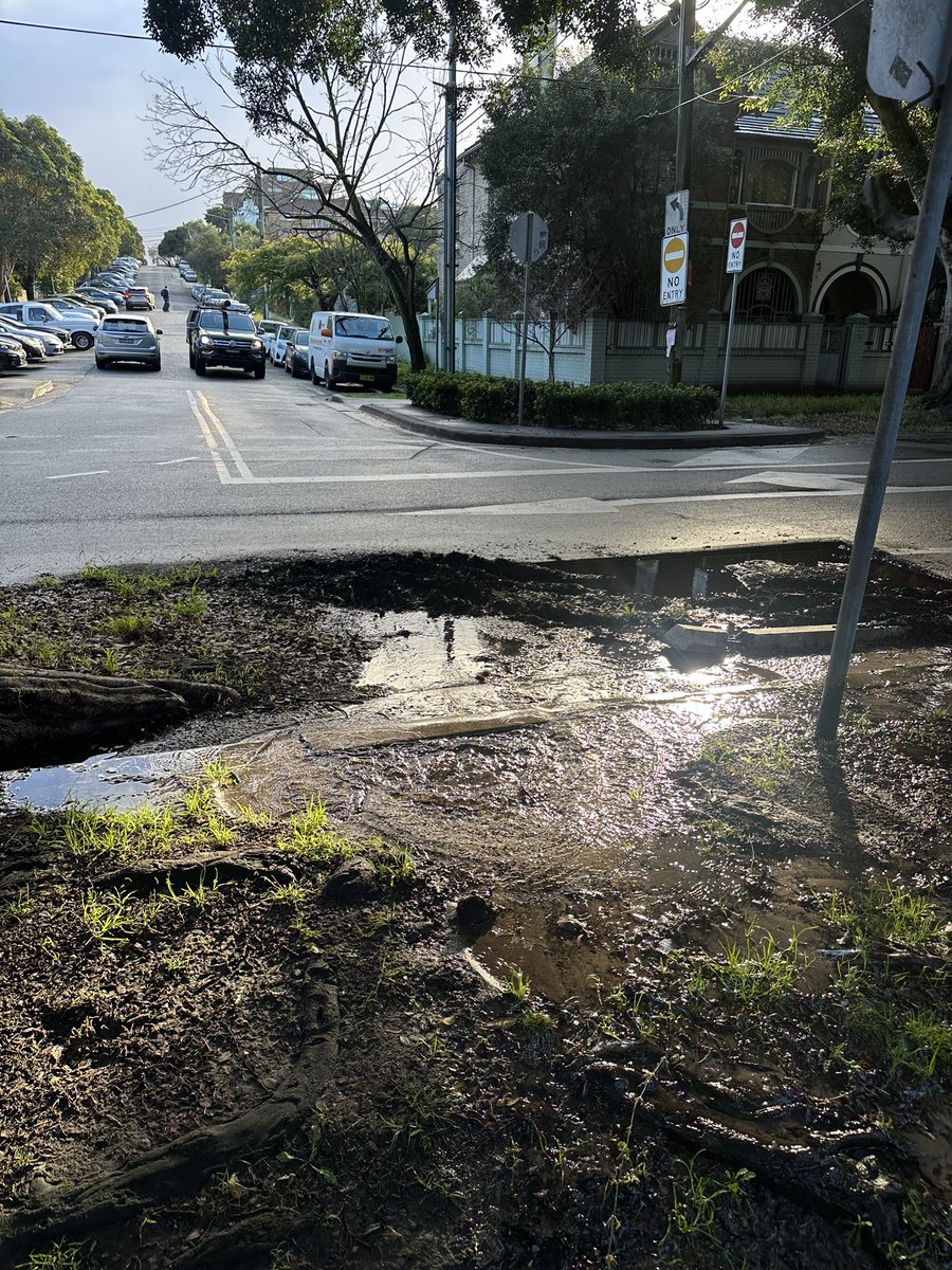 Andrew Heading tweet media