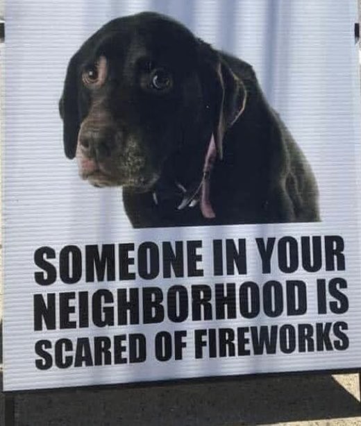 jjrhodes9's tweet photo. A reminder to keep pets inside on the 4th so they don’t run away in terror. Every 5th of July, shelters are filled. https://t.co/XPfx4Ma1Xo