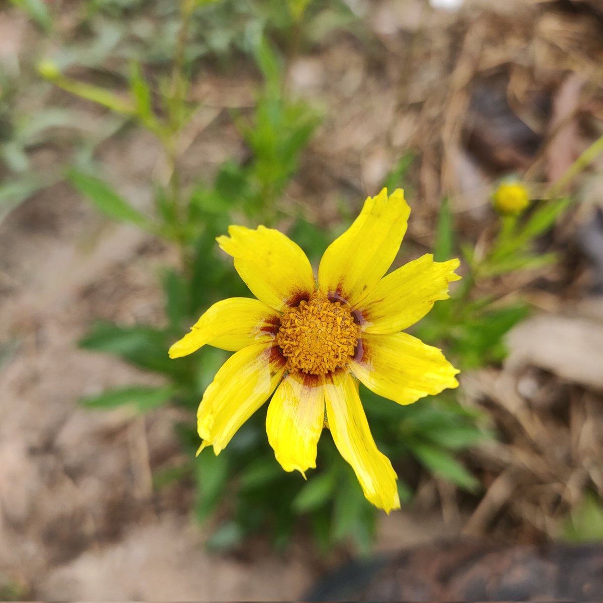 ไม่มีหรอกคนที่ไม่เบื่อเรา
แค่ต้องหาคนที่เบื่อเรา แต่ไม่ไปไหนก็พอ🍃#แคปชั่น #แคปชั่นเด็ด #แคปชั่นโดนๆ #แคปชั่นเสี่ยว #แคปชั่นเศร้า #แคปชั่นอกหัก #แคปชั่นโสด #แคปชั่นเด็ดๆ #แคปชั่นเหงา #ถูกทิ้ง #แคปชั่นอ่อย #แคปชั่นแอบรัก #คำคม #แคปชั่นกำลังใจ #คำคมเหงาๆ #คำคมไม่รัก #loveasdevil