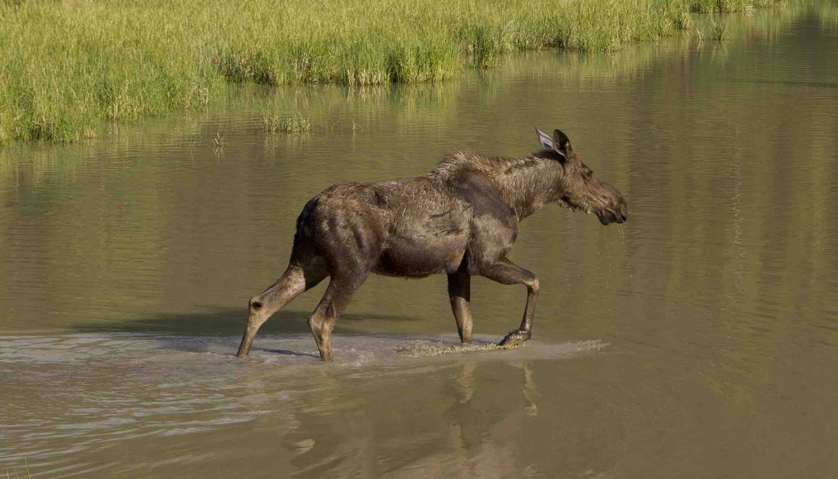 Jason Stefanides tweet media