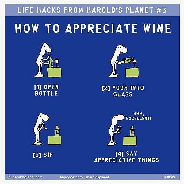 Quick Introduction for Wine Tasting 😉🍷🍇 #wine #winetasting