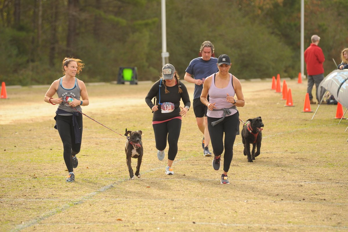 Great race, amazing mug, incredible cause! Start the new year by supporting the Wake County SPCA at Fit &amp; Able's Mutts &amp; Marshmallows with 8K, 5K, and Fun Run races! Run IN-PERSON at WakeMed Soccer Park or VIRTUALLY anywhere you want! Don't miss out! bit.ly/346wOiK