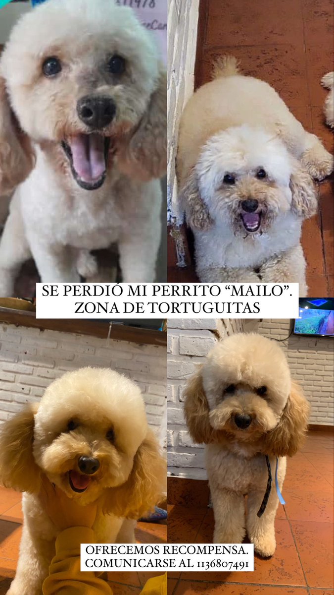 DeluchiMartina's tweet photo. https://t.co/p4l6IilBvl