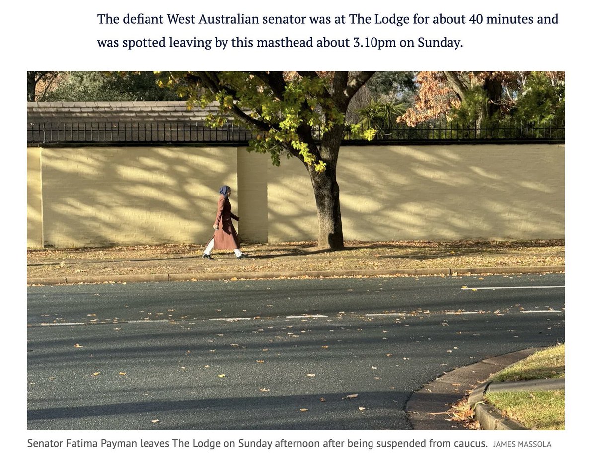 MFWitches tweet media