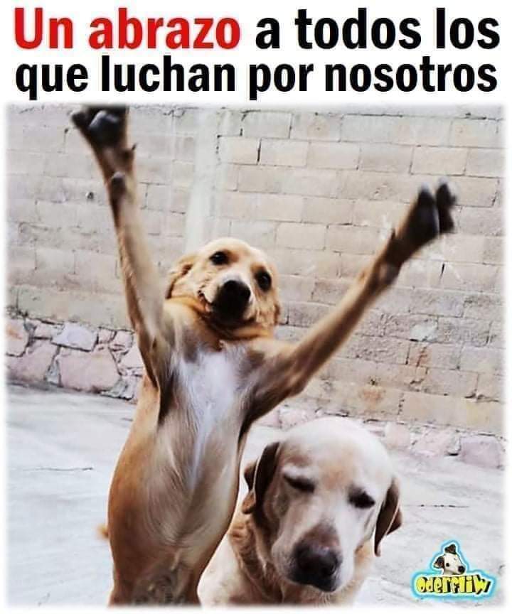 Guadalupe Ramirez tweet media