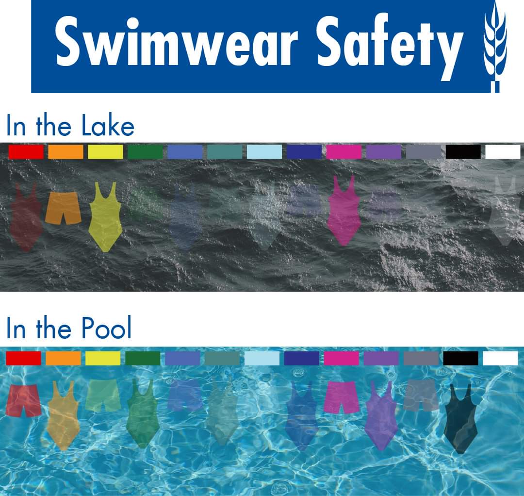 Lake/Swimming pool safety - see how each of the colour swim suits are visible

<a href="/echolakeretreat/">echolakeretreat</a> 
#Huntsville #Muskoka #Dwight #Dorcet #Baysville