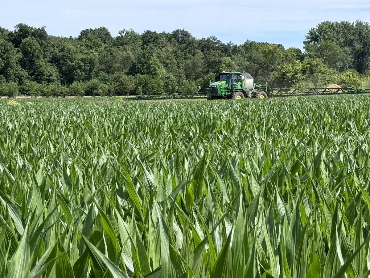 TomFarms's tweet photo. #TATF
#Fungicide application is full speed ahead. Plant health is incredibly important to farmers.
Fungicides are a type of pesticide that can destroy fungi or inhibit their growth. In an agricultural context they are used to reduce crop losses. https://t.co/wRxxOA1rJP