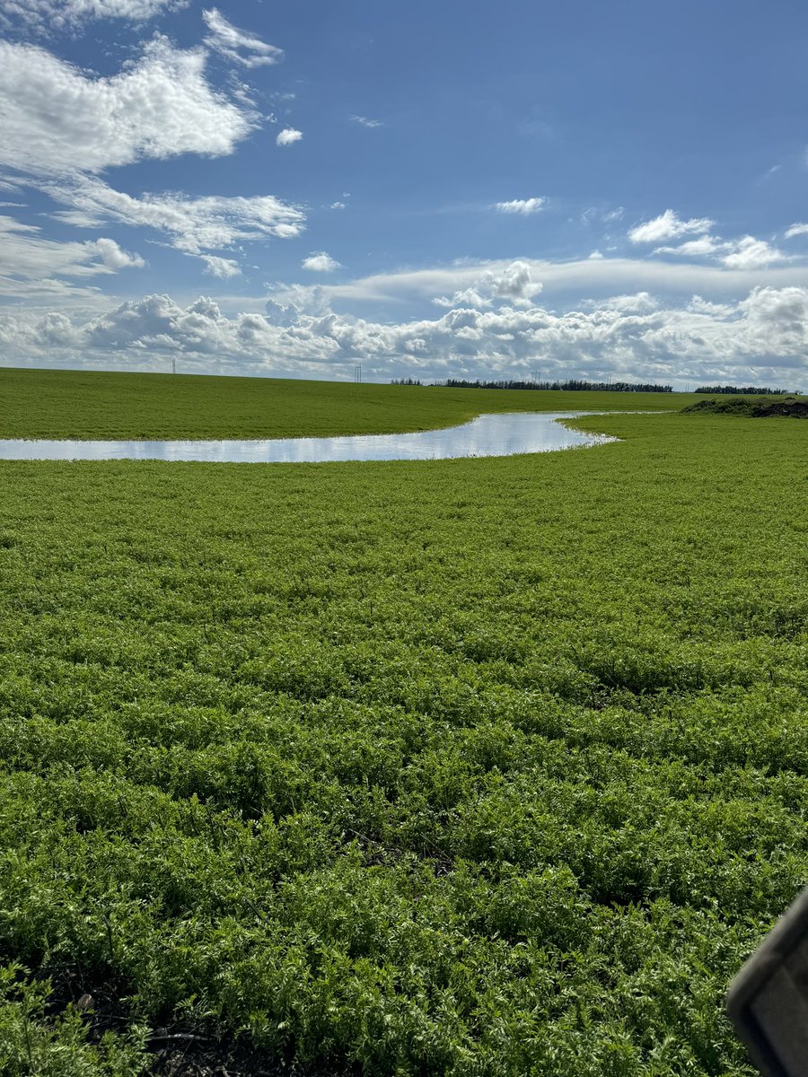 Its subsequent events like in the last week that highlights the need for continued conversations and implementation of intelligent, cooperative water management. This things been running for nine days. Not going to stop water running downhill but what can we do to decrease the