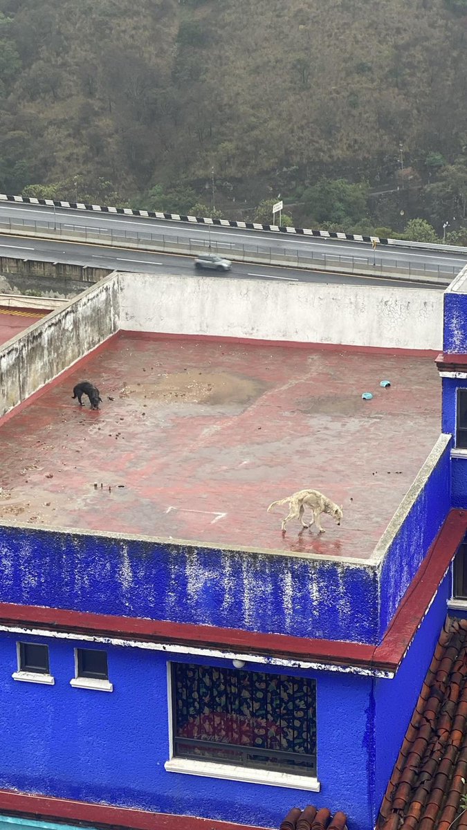 Eri Fernandez tweet media