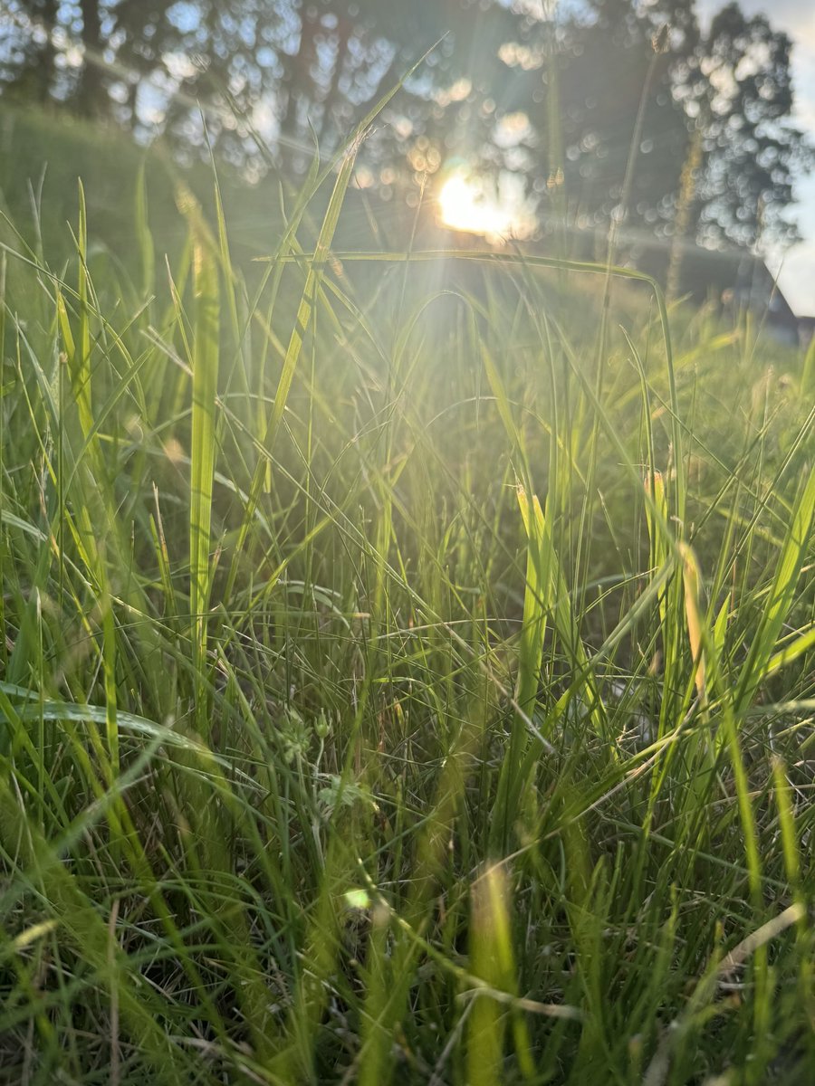 JaromirVoltr's tweet photo. První den bez piva. https://t.co/mBUKX9L8qa