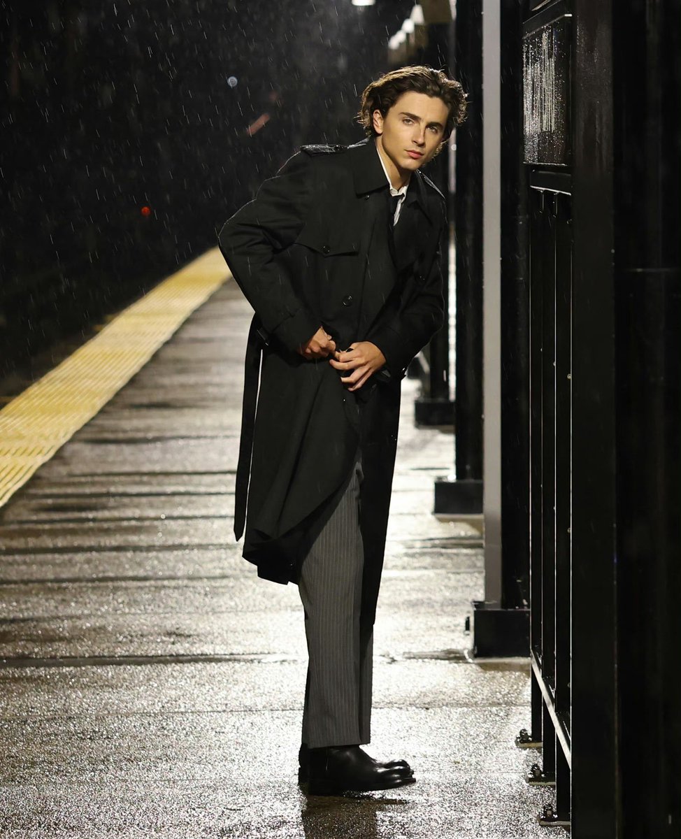 GifsTimothee's tweet photo. what a handsome man https://t.co/ywDj5cbQ02