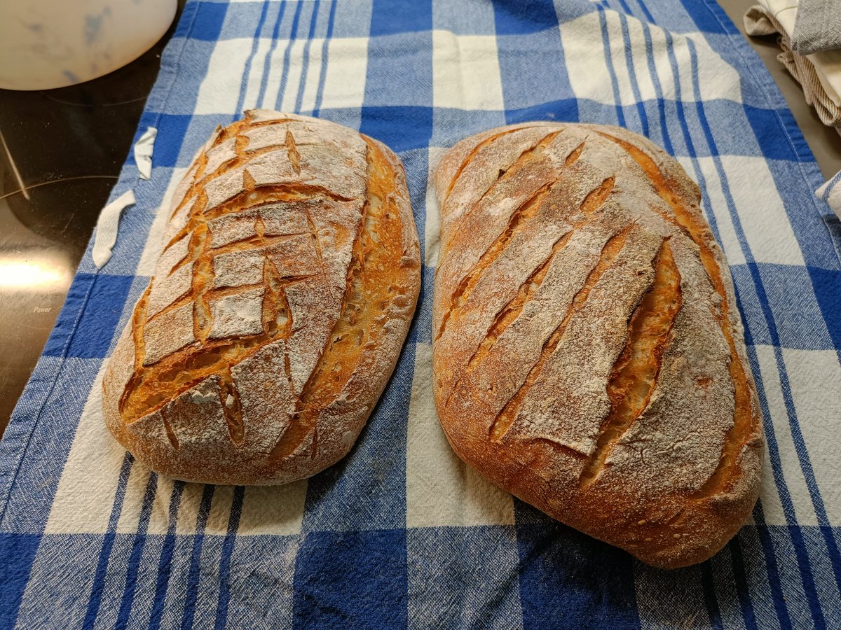 HilpoJuhana's tweet photo. Leipomishommia pitkästä aikaa.
Ohraleipää.
------
Baking day for a long time.
Sourdough barley bread.
#sourdough #hapanjuuri #ohraleipä #barleybread https://t.co/zaMGT7UucG