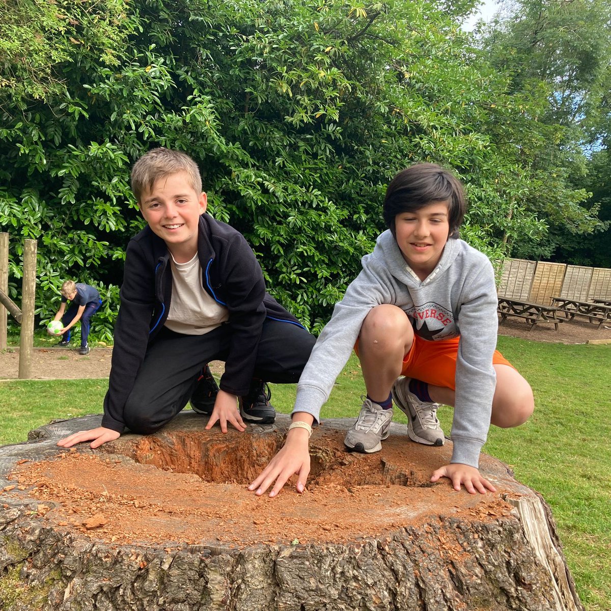 Milbourne Lodge Trips tweet media