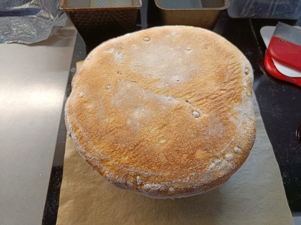 HilpoJuhana's tweet photo. Leipomishommia pitkästä aikaa.
Ohraleipää.
------
Baking day for a long time.
Sourdough barley bread.
#sourdough #hapanjuuri #ohraleipä #barleybread https://t.co/zaMGT7UucG