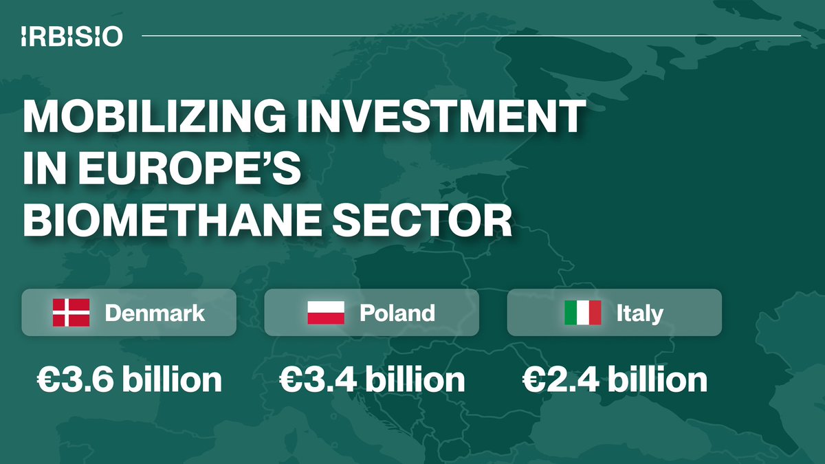 Sergey Buchin tweet media