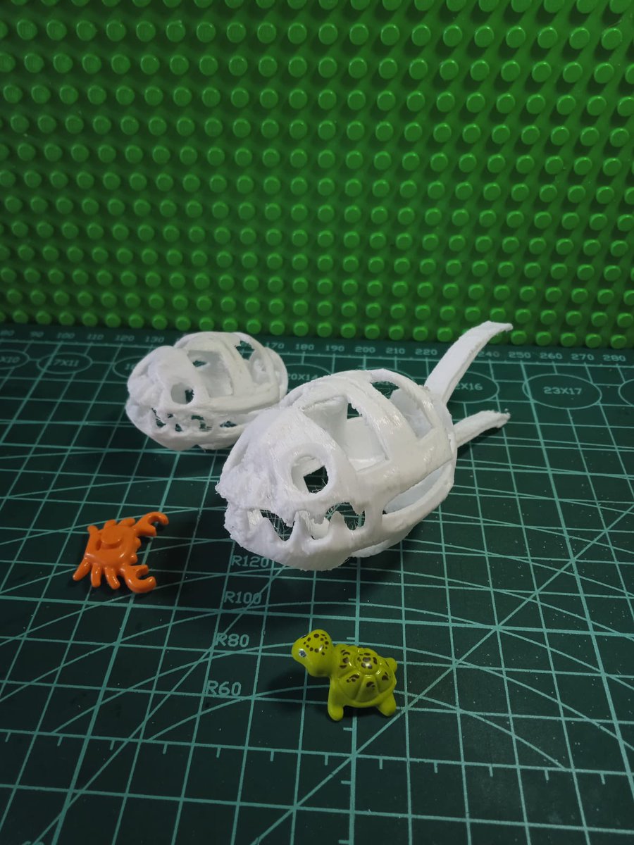 Adorno para pecera. Fósil marino.
Archivo STL Fósil Marino 🐉 ・Diseño para descargar y imprimir en 3D・Cults (cults3d.com)