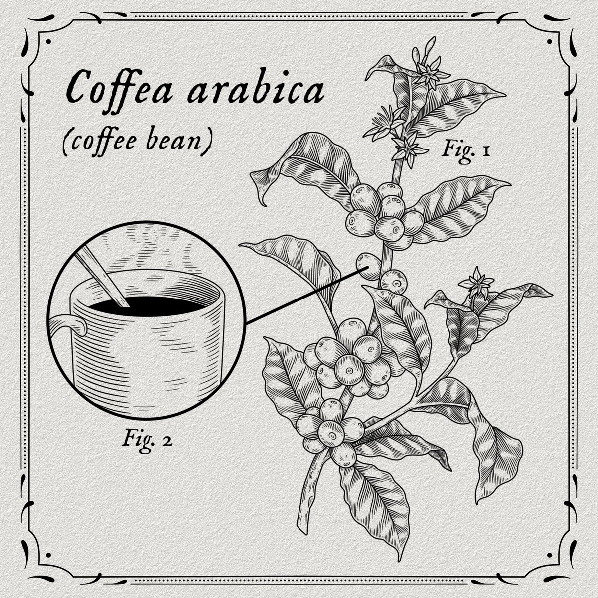 • TATTOO DESIGN AVAILABLE •