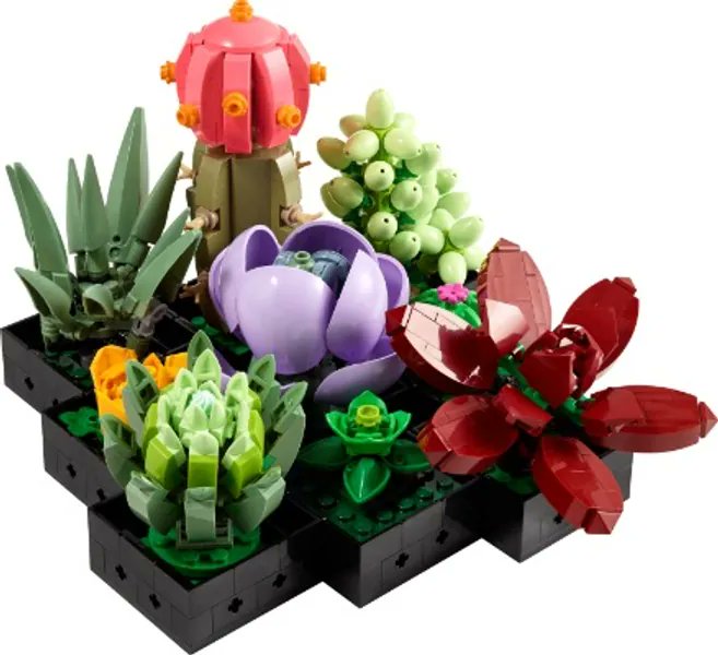 I just received Succulents 10309 | LEGO® ICONS™ | Buy online at the Official LEGO® Shop US from zoolkeeper via Throne. Thank you! throne.com/strwb #Wishlist #Throne