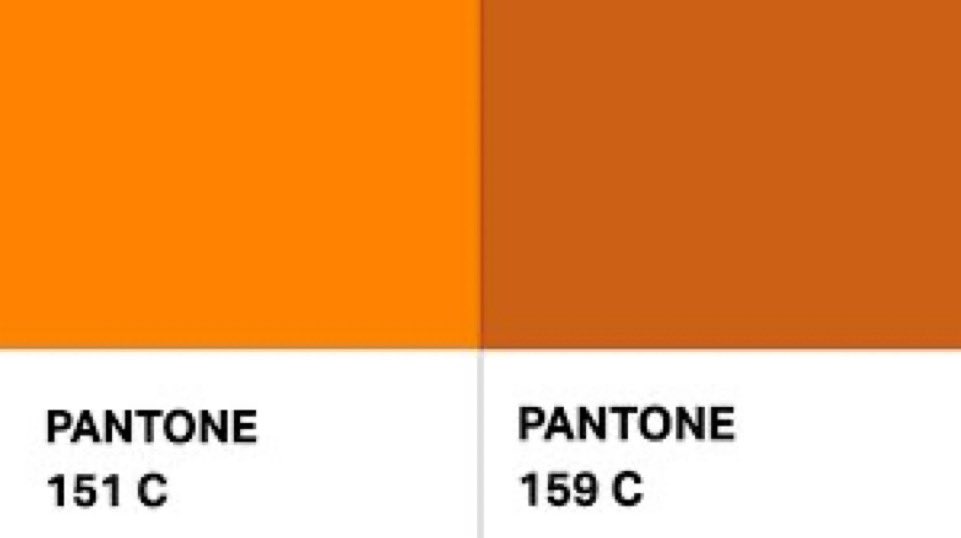 BigOrangePunch's tweet photo. Orange                                Poopy Brown https://t.co/Bf2KYs2ruu