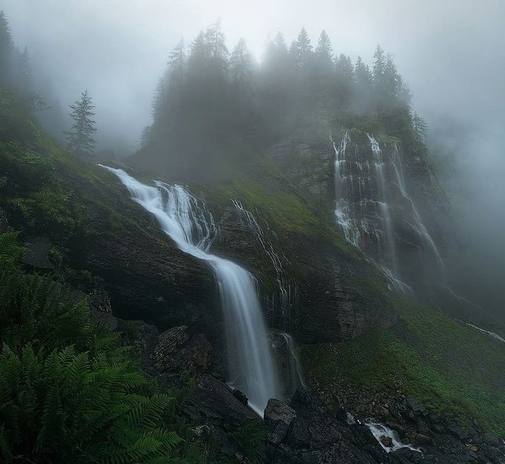 fog.