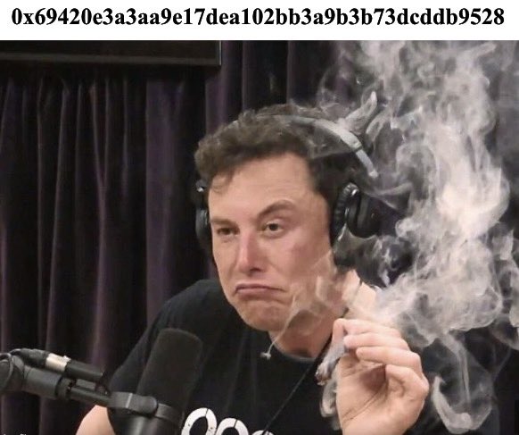 Milucasa's tweet photo. Keep calm and enjoy the ride 🚀 @Elon_coin_ETH @elonmusk $Elon #0𝕏69420 #elonmusk #tesla #spacex #ethereum #neuralink #bitcoin #memecoins #memecoin #elon #musk #crypto #doge #dogefather #x #twitter #starlink #grok #elontoken #eloncoin #0x69420e3a3aa9e17dea102bb3a9b3b73dcddb9528 https://t.co/awZZPY5dFd