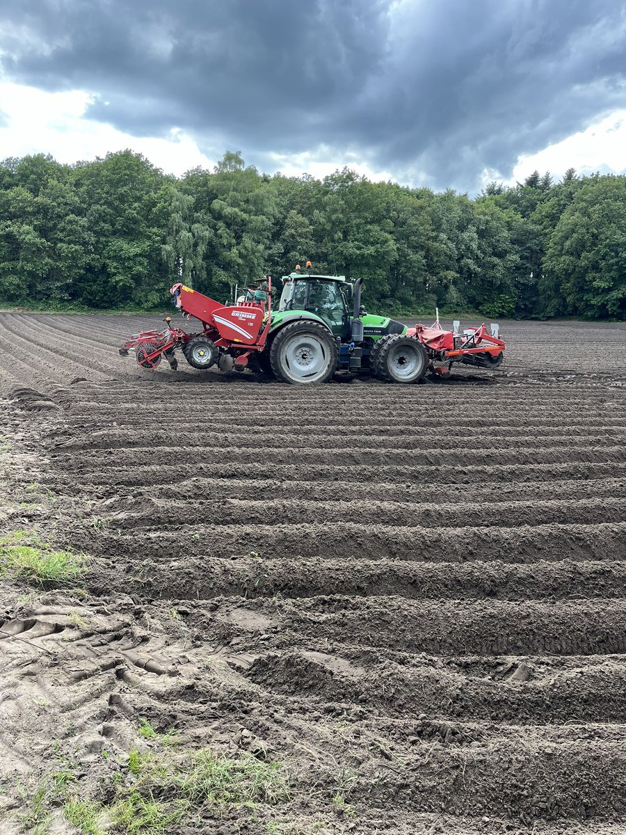 Bij mij vandaag ook uiteindelijk de aardappelen de grond in. Onder het motto, beter laat dan nooit. 01072024